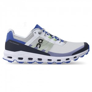 Grey / Royal On Cloudvista Men's Trail Running Shoes | USA_ON9080