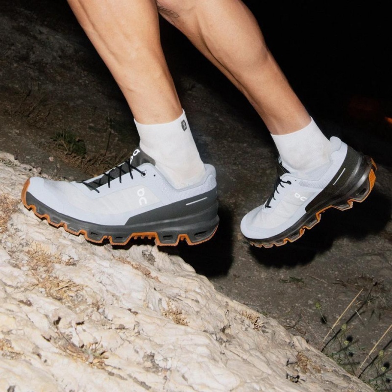Grey / Brown On Cloudventure Men's Trail Running Shoes | USA_ON8945