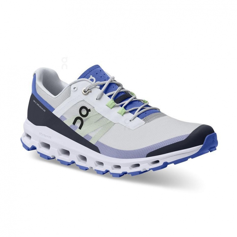 Grey / Royal On Cloudvista Men's Trail Running Shoes | USA_ON9080